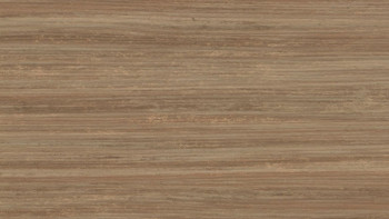 planeo Linoleum Stratio Textura - Withered prairie E5217 Driftwood 2.5