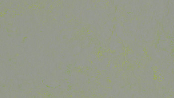 Forbo Linoleum Marmoleum Concrete - green shimmer 3736