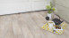 Gerflor Vinylboden - Senso Rustic Designboden Kola selbstklebend (33250309)