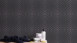 Vinyltapete schwarz Modern Klassisch Uni Streifen Trendwall 853