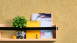 Vinyltapete gelb Modern Blumen & Natur Bilder Sumatra 711
