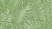 Vinyltapete grün Modern Blumen & Natur Bilder Sumatra 715