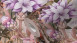 Vliestapete Dream Flowery Blumen & Natur Retro Lila 773