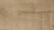 HARO Korkboden zum Klicken Corkett Arteo XL Shabby Oak invisible      (537260)