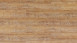 Wicanders Klick-Vinyl - Wood Hydrocork Arcadian Rye Pine, synchrongeprägt    