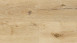 Wineo 400 wood XL Klickvinyl - Luck Oak Sandy (DLC00127)