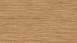 Wineo Vinylboden - 800 wood Honey Warm Maple (DB00081)