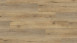 Wineo 400 wood XL Klickvinyl - Joy Oak Tender (DLC00126)