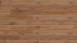 Wineo Bioboden - 1000 wood XL Rustic Oak Nougat zum Kleben (PL315R)