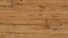 Parador Parkett - Trendtime 8 Classic Eiche Tree Plank (1739957)