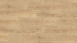 Wineo Bioboden - 1500 wood L Klebevinyl Canyon Oak Sand (PL075C)