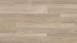 Wineo Bioboden - 1500 wood XL Klebevinyl Queen's Oak Pearl (PL097C)