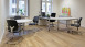 Project Floors Vinylboden - floors@work80 PW 1250-/80 (PW125080)