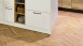 Project Floors Vinylboden - Herringbone PW 1633-/HB (PW1633HB)