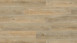 Project Floors Vinylboden - floors@home30 PW 3020-/30 (PW302030)