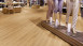 Project Floors Vinylboden - Click Collection 0,55mm - PW4011/CL55 Landhausdiele (PW4011CL55)