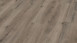 Wineo Bioboden - 1500 wood XL Klebevinyl Royal Chestnut Grey (PL084C)