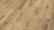 Wineo Vinylboden - 800 wood XL Corn Rustic Oak (DLC00064)
