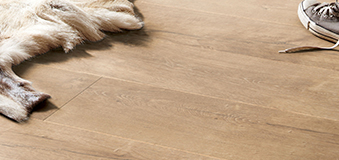 Parkett-Produkte kaufen